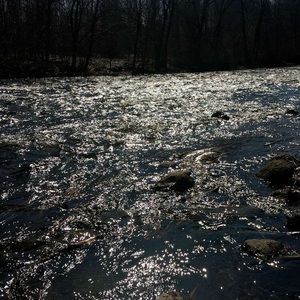 Meet your Posher, Kerrine